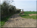 Farm track and public footpath