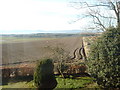 Field at Purgavie Farm