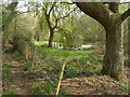 Pond west of Bull Hill Farm