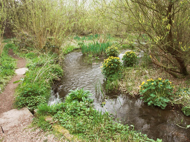 In the nature reserve, Elvaston Castle... © Jerry Evans cc-by-sa/2.0 ...