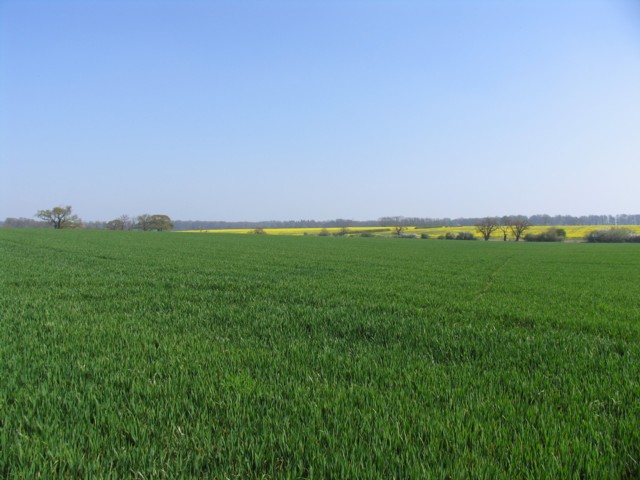 Fields on 15 April 2007
