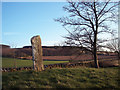 Pictish Symbol Stone