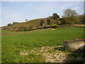 View of the hillside from Beamsley Lane, Beamsley