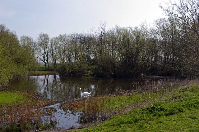 A Great Holland Pond © Glyn Baker cc-by-sa/2.0 :: Geograph Britain and ...