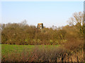 TL3264 : Elsworth Mill, Elsworth, Cambs by Rodney Burton