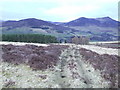 NN8862 : Meall am Daimh and Ben Vrackie from above Strathgarry Farm by walter young
