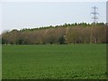 SU3350 : Farmland, Hatherden by Andrew Smith