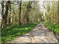 Lane to Hegdale Farm