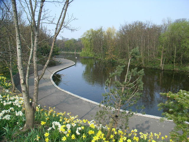 Dodder Valley Park Pond