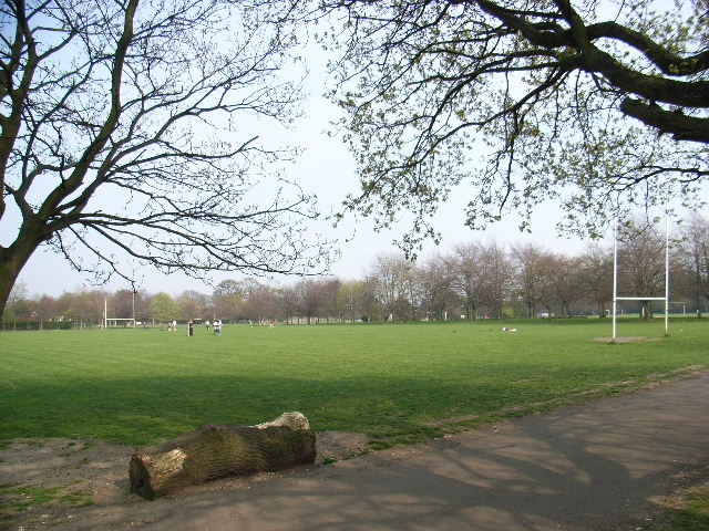 Playing Fields in Bushy Park, Terenure