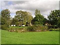 Pond on Horsham Common