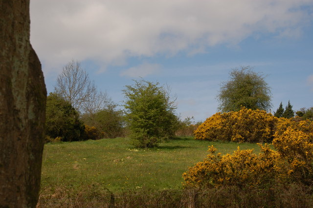 Field near Glenoe