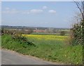 Wrekin view