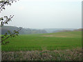 Near Newhall looking towards Bretby Hall