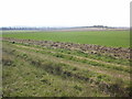 Bridleway between Roman Road and Hildersham