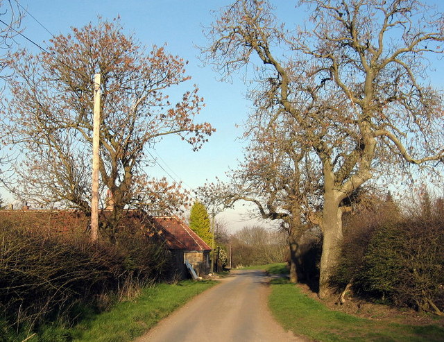 Road through Molesden