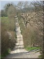 Track above Ibthorpe