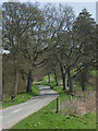 Road near Hurstbourne Tarrant