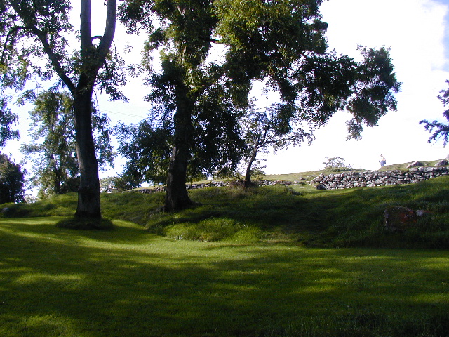 Nendrum monastic site
