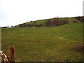 Farmland near Tylwch