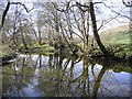 Reflections on the Shinnel Water