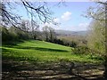 Rolling Pasture Land