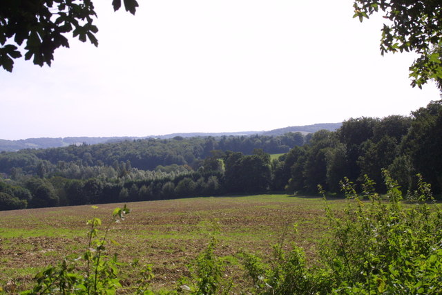 Field at Hurst Farm