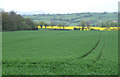 Crop Fields near Hampton Loade, Shropshire