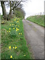 Road to Townend farm