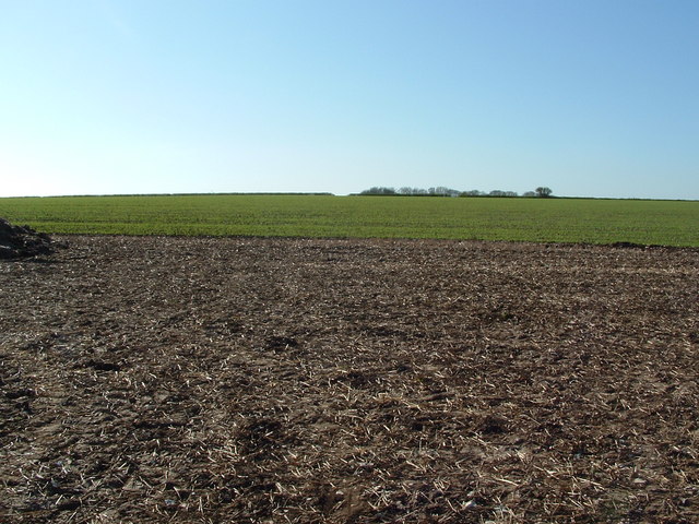 Farmland south of Finley Hill