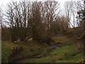 Stream near Waun