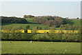 View to Barrack Farm from Barrowsland Farm across the Rother Levels