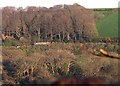 Looking through the hedge towards Woodcock Corner.