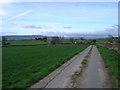 Country road north of Harmby