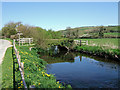 Bridge over the Frome at Cruxton