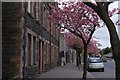 Church Street, Newtownards