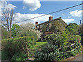 Cottage twixt Holywell and Redford