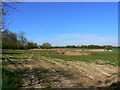 Farmland north of Crofton Road, near Crofton