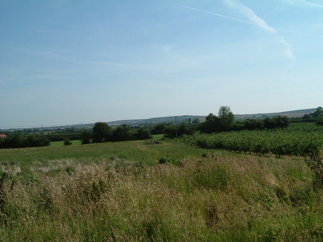 From Hernhill towards Dargate