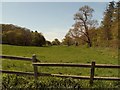 Countryside near Baylham Hall