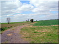 Footpath north of  Manor Farm