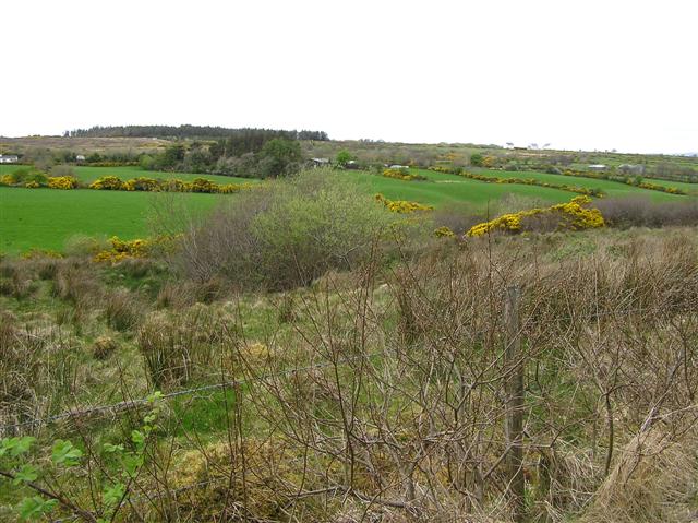 Gortnagrace Townland © Kenneth Allen cc-by-sa/2.0 :: Geograph Ireland