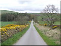 Dere Street - south-east