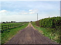 Footpath looking west