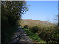 Lon gul uwchben Penmorfa / Narrow lane above Penmorfa