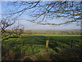 Tir Amaethyddol  ger Plwmp / Farmland near Plwmp