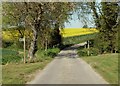 A Footpath across a country road