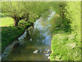 River Nene, Northampton