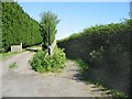 Byway and track to allotments, Poulders Gardens