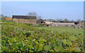 Farm on Well Lane, Willerby